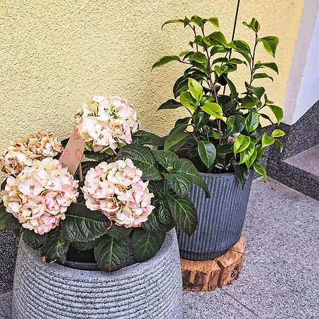 Laerche By Interhome Apartament *