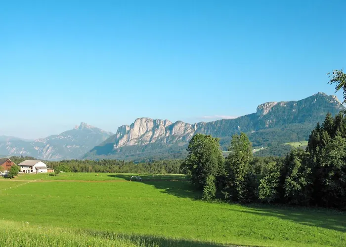 Laerche By Interhome Daire Oberwang