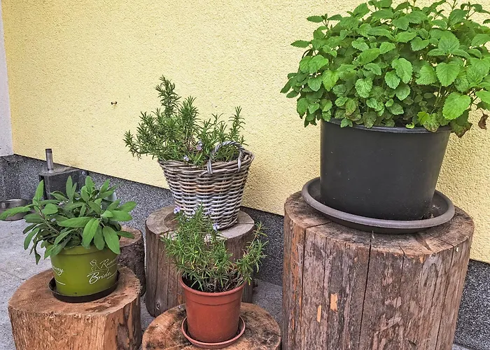 Laerche By Interhome *