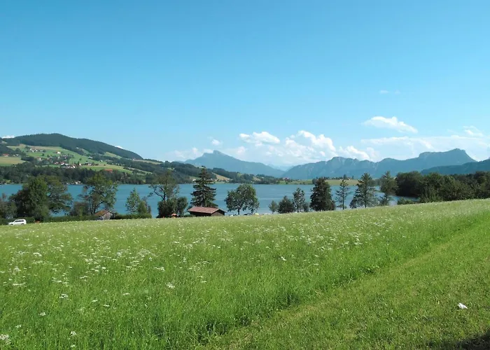 Laerche By Interhome Daire Oberwang