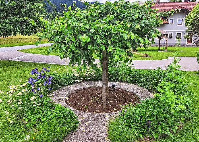 Laerche By Interhome