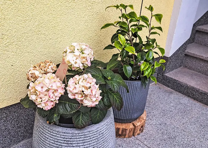 Laerche By Interhome Daire *